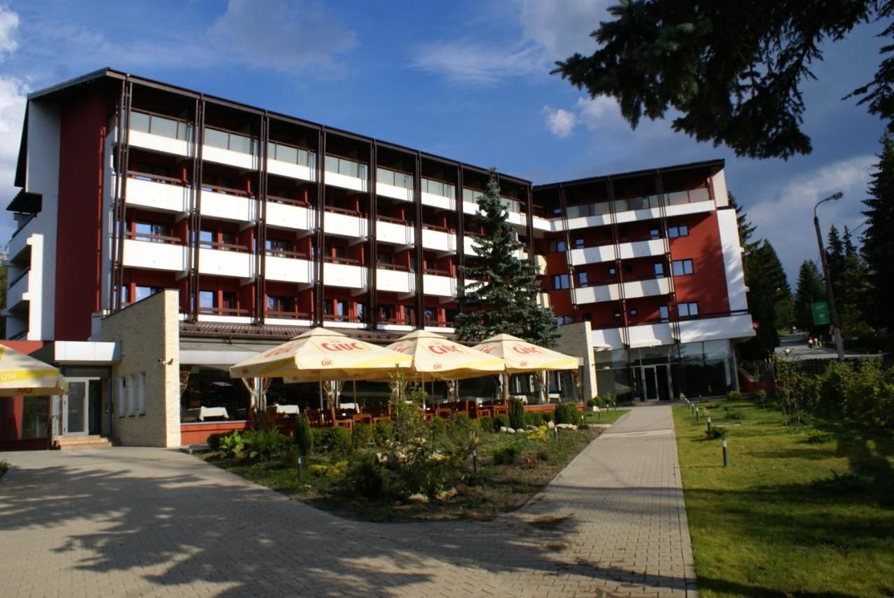 Отель Hotel Carpați Предял-4