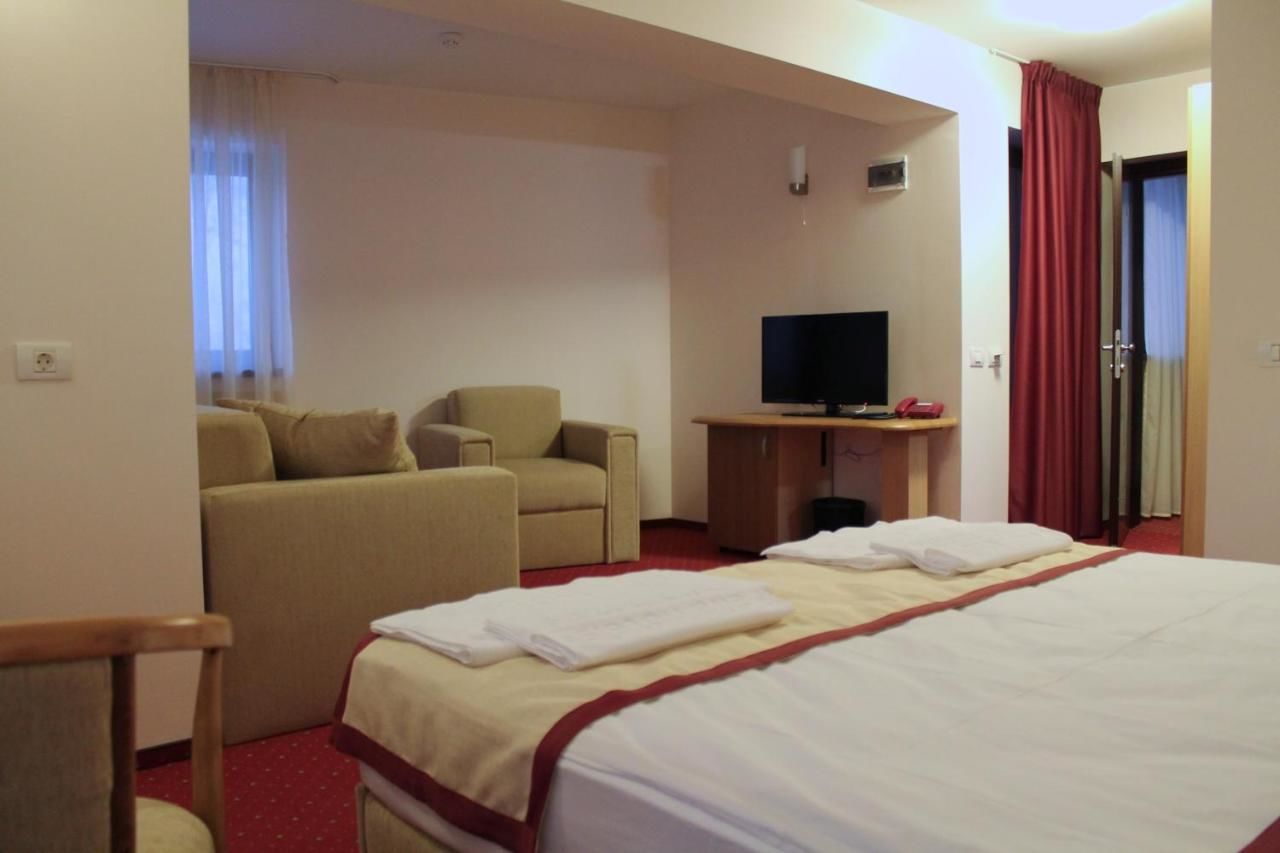 Отель Hotel Carpați Предял