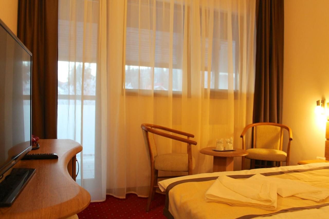 Отель Hotel Carpați Предял-30