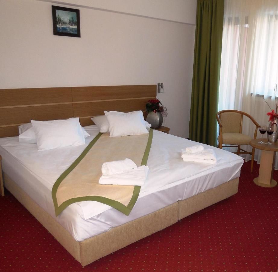 Отель Hotel Carpați Предял-10